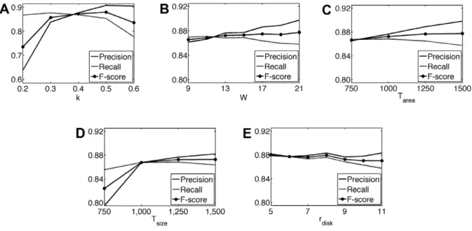 Figure 10. Visual results of the proposed algorithm obtained on the images of different cell lines.