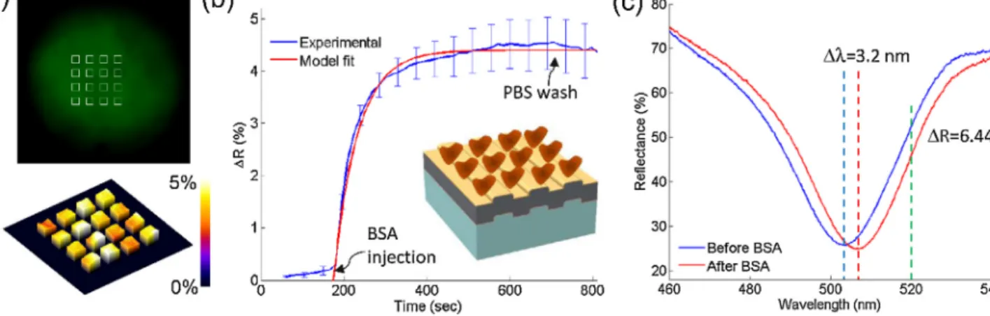 Fig. 4. Real-time monitoring of BSA adsorption onto the gold surface. (a) Arbitrarily deﬁned 4-by-4 rectangular region of interests (96 × 96 ␮m 2 each) on entirely Ag/Au bilayer coated sensor spot image (top) and background corrected SPRi difference image 
