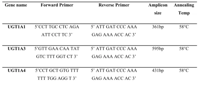 Table 3. 1 The oligonucleotides used for UGT1A expression analysis. Adapted from  Nakamura et al