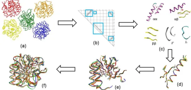 Fig. 1. Overview of the algorithm. (a) Input protein structures. (b) An example contact map