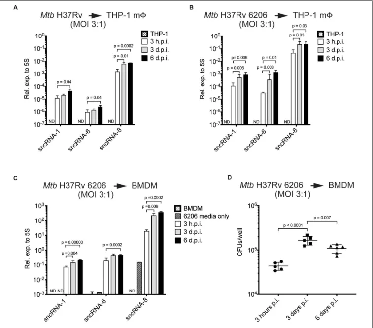 FIGURE 2 | The levels of three distinct Mtb-encoded sncRNAs increase during the course of an infection