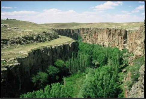 Figure 2.1. Environment as Nature 