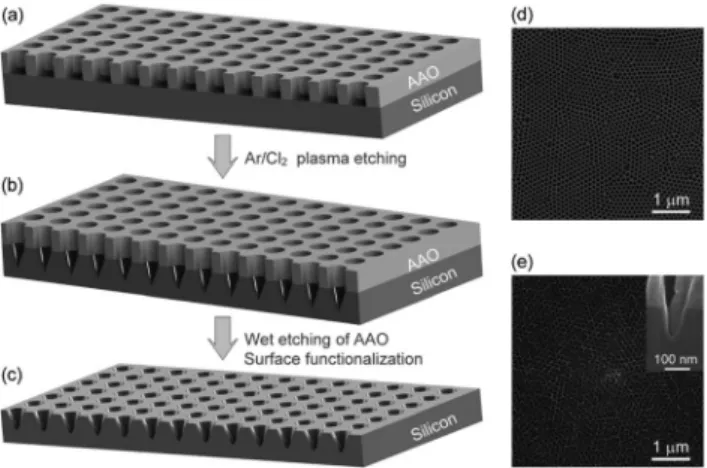 Fig. 1 Schematic representation of the silicon mold fabrication. (a) AAO membrane –silicon wafer [100] assembly is shown after the branched side of membrane is removed