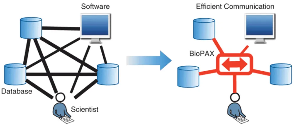 Figure 2.5: BioPAX provides a standard language for the efficient exchange of the pathway data [3].