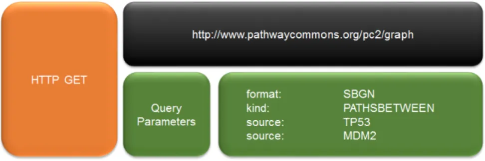 Figure 2.11: A sample graph query to the web service of Pathway Commons.
