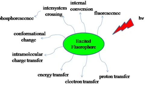 Figure 1. Types of de-activation processes of an excited fluorophore.