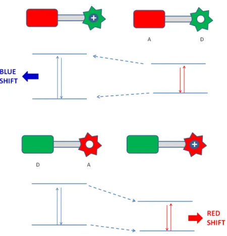 Figure 24. Band gap changes on interactions with cations of ICT type sensors.