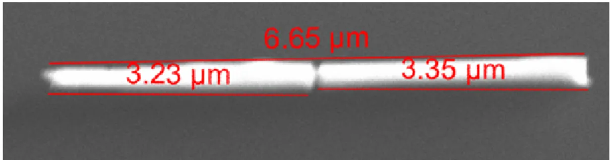 Figure 3.9: SEM image of another nanowire with 3.23 µm and 3.35 µm long Au segments.