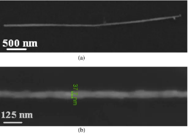 Figure 3.13: Nanowire synthesized in track-etched polycarbonate membrane (a) in full view and (b) with a zoom-in across its width.