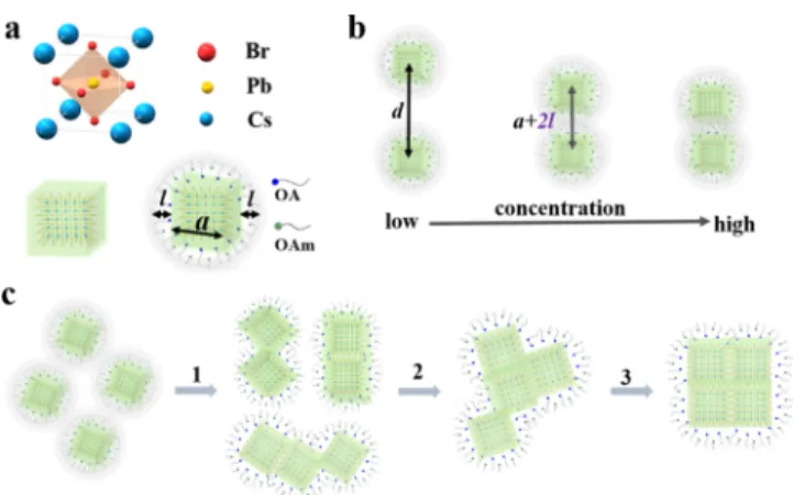 Figure 1. Schematic illustration of (a) crystal structure, the ligands capped nanocrystal and (b) interaction between nanoparticles change with the concentration