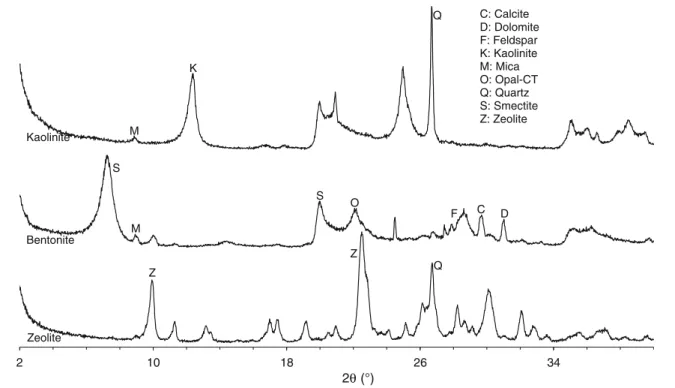 Table 1 The chemical analyses of the samples used in the sorption studies