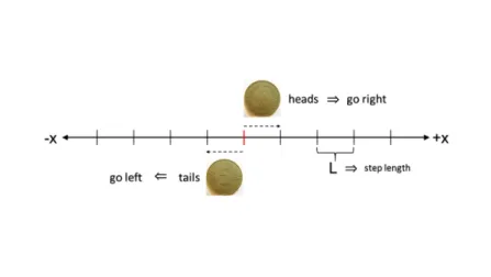 Figure 2.1: Illustration of binary random walk. The walker makes a decision based on a coin flip: he goes right if the result is heads and left if tails