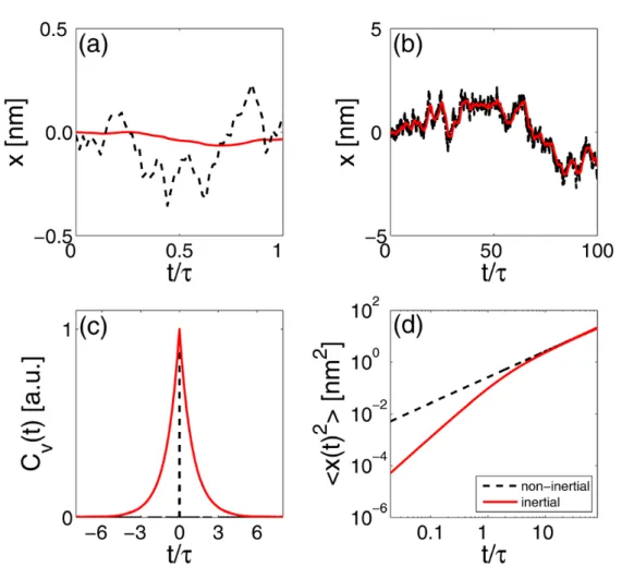 Figure 3.2: Comparison between the inertial and non-inertial regime. The iner- iner-tial and non-ineriner-tial solutions are plotted for small times in (a) which leads to diﬀerence in their behavior