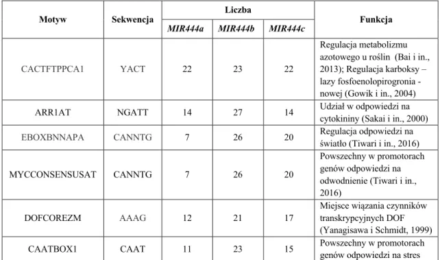 Tabela  2.  Elementy  regulatorowe  w  promotorach  genów  MIR444a,  MIR444b  oraz  MIR444c