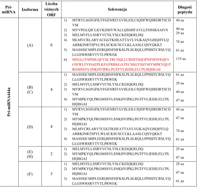 Tabela  5.  Otwarte  ramki  odczytu  w  pri-miRNA444a/b/c.  Na  czerwono  zaznaczono  sekwencje peptydów wybranych do dalszych analiz