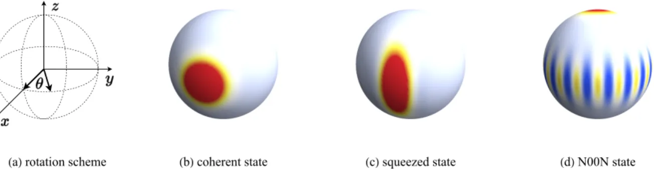 Figure 2.1: (a) The vector of internal magnetic moment (spin) is rotated by an angle θ around vertical axis z 