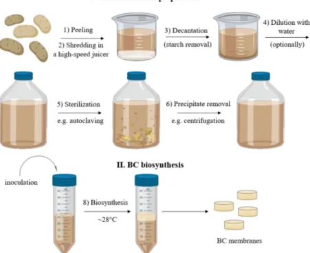 Figure 10. Scheme of the culture medium preparation and BC biosynthesis process.