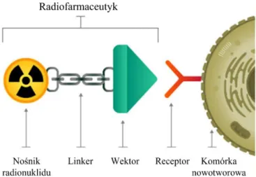 Rysunek 4. Schemat radiofarmaceutyku. [64] 