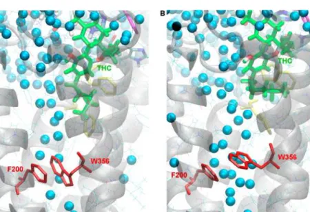 Figure 8. Activation events observed during one of three unsupervised MD simulations performed for THC located in the “alternative” binding site of the CB1 receptor