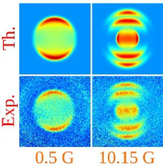 Figure 1: Experimental image compared with quantum prediction for different magnetic fields.