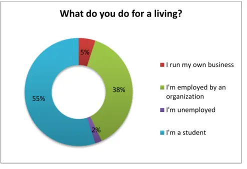 Figure 4. Occupation of the respondents 