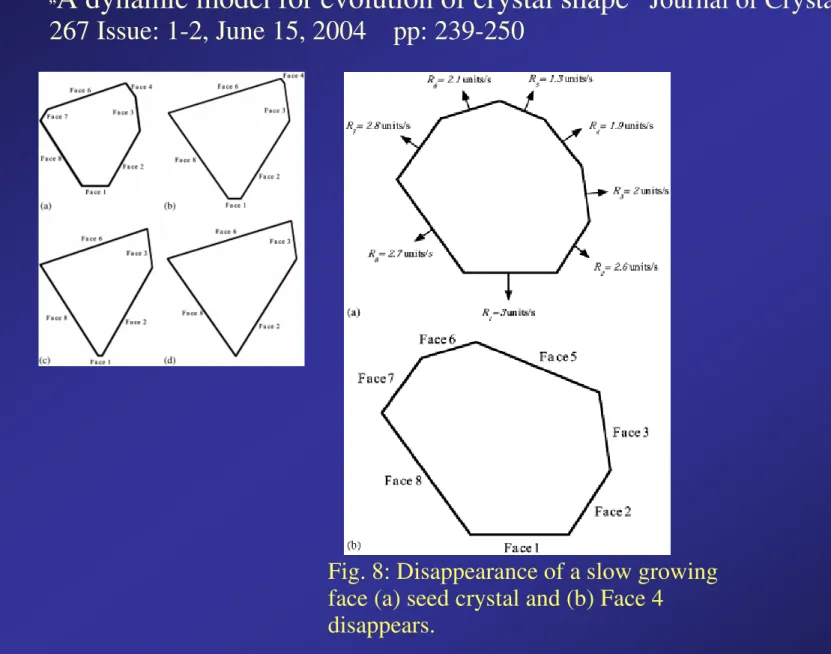 Fig. 8: Disappearance of a slow growing  face (a) seed crystal and (b) Face 4 