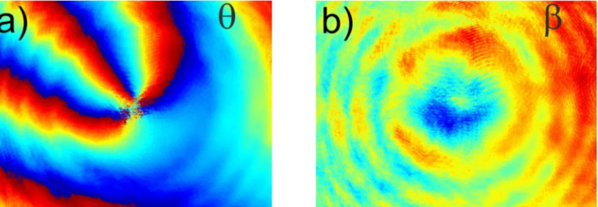 Fig. 8. Distributions of polarization parameters for superposition of the clockwise  q 1  2 vortex with the anti-clockwise  q 2   1  vortex (see description in the text) – experimental results.