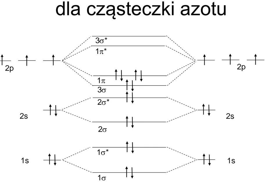 Diagram orbitali molekularnych  dla cząsteczki azotu 