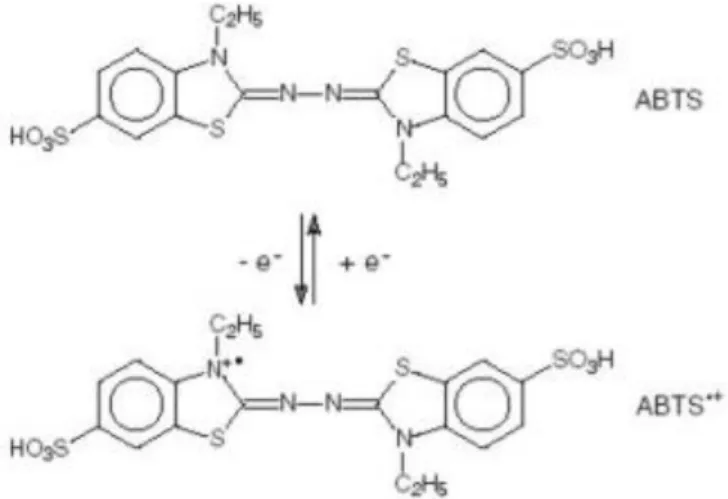 Fig. 1. ABTS and its one-electron oxidation product, ABTS •+ 