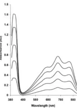 Fig. 2. Absorption spectrum of the ABTS radical cation. 