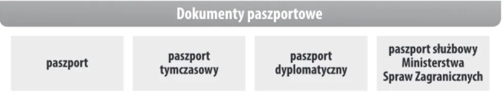 Rysunek 11. Rodzaje dokumentów paszportowych