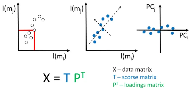 Figure 4.6. The idea of the principal component analysis (PCA). 