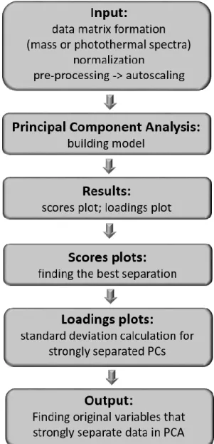 Figure 4.7. A block diagram showing the proposed method of data analysis. 