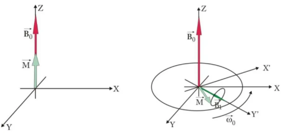 Rysunek 1.1: Zjawisko magnetycznego rezonansu jądrowego. (A) Układ w stanie rów- rów-nowagi