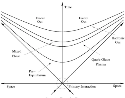 Rysunek 2.3: Diagram ewolucji czasowo-przestrzennej w zderzeniach ciężkich jonów.