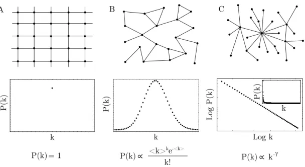 Rysunek 3.1: Graficzna reprezentacja trzech typów sieci: sieć regularna (A), sieć lo- lo-sowa (B) i sieć bezskalowa (C) (na górze) oraz odpowiadające im rozkłady krotności wierzchołków P (k) (na dole).