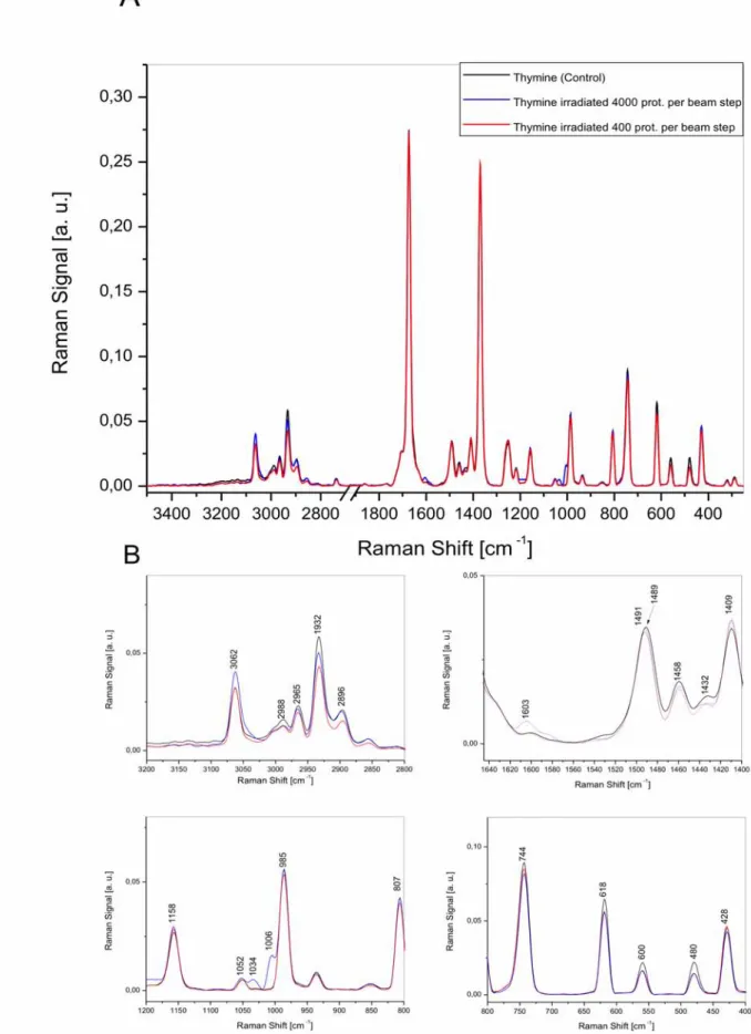 Fig. 2.5  A) Raman spectra of proton irradiated and untreated thymine, B) The spectra from A) expanded  over smaller spectral ranges.