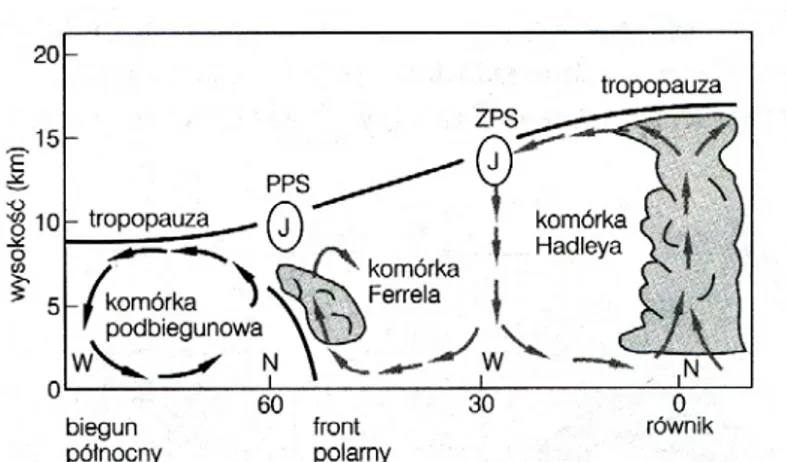 Rysunek 1.14: Pionowy przekrój przez trzy komórki cyrkulacyjne z usytuowaniem polarnego (PPS) i podzwrotnikowego (ZPS) pr ˛ adu strumieniowego i frontu polarnego [47].