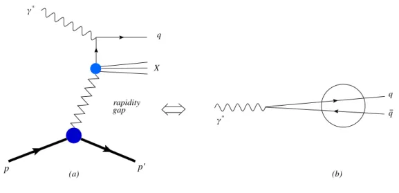 Figure 1.14: Partonic structure of the pomeron vs. color dipole fluctuations of the photon.