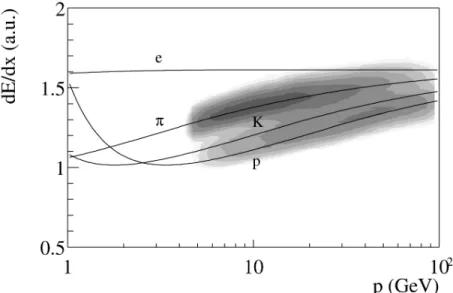Rysunek 3.6: Rozkład strat jonizacyjnych dla cząstek naładowanych dodatnio w funkcji pędu, dla centralnych zderzeń Pb + Pb przy energii wiązki 158 A·GeV.