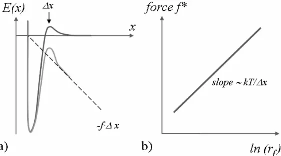 Fig. 1.3. a) Schematic plot of the energy landscape of the thermally driven (dark grey line) and the  force-induced (light grey line) dissociations; b) schematic plot of the most probable unbinding force  f* versus logarithm of the loading rate r f 