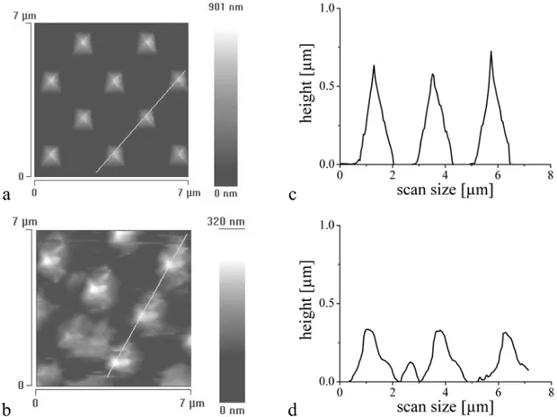 Fig. 2.3. Images and corresponding height profiles of the AFM tips: a) before the functionalization  with CaY (bare silicon nitride tip), b) after the functionalization with CaY