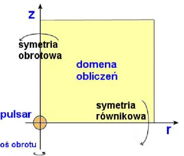 Rysunek 2: Obszar oblicze´n zaw ¾e·zony do jednej ´cwiartki przekroju przez pulsar i jego magnetosfer ¾e, wskutek za÷o·zenia o osiowej i równikowej symetrii.
