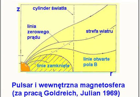 Rysunek 3: Pulsar i wewn ¾etrzna cz ¾e´s´c jego magnetosfery, z zaznaczonym podzia÷em na linie otwarte i zamkni ¾ete pola