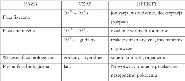 Tab. 8 Działanie promieniowania jonizującego na organizmy Ŝywe w czasie. 