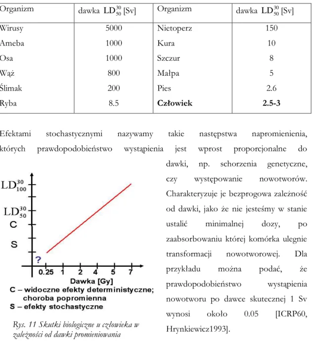 Tab. 9 Śmiertelne dawki promieniowania dla róŜnych organizmów[Hrynkiewicz1993] 