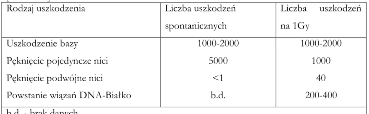 Tab.  10  Częstość  spontanicznych  oraz  spowodowanych  promieniowaniem  uszkodzeń  DNA  [Billen1990] 