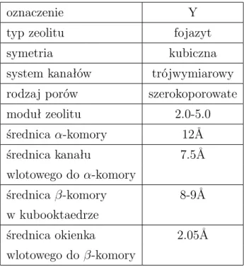 Tabela 5.1: Charakterystyka zeolitów typu Y.
