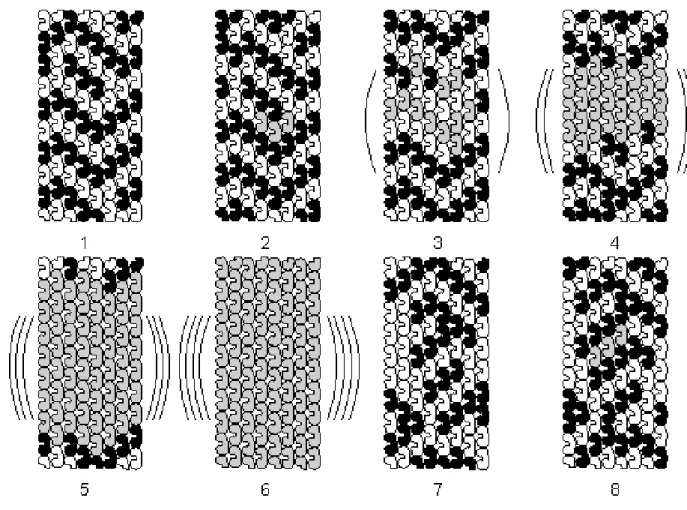 Figure 5. Microtubule automaton simulation (from Rasmussen et al., 1990). Black and  white tubulins correspond to states shown in Figure 4