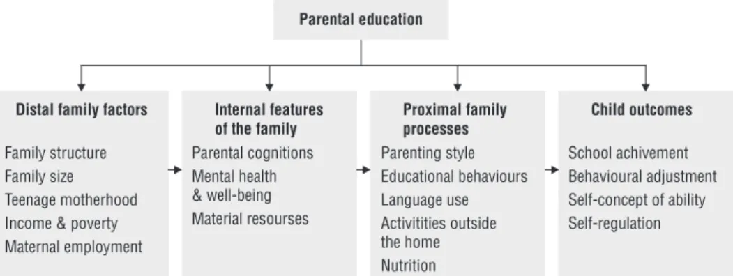Figure 2.4.  Model of the intergenerational transmission of educational success (adop- (adop-ted from Feinstein et al., 2008:26)